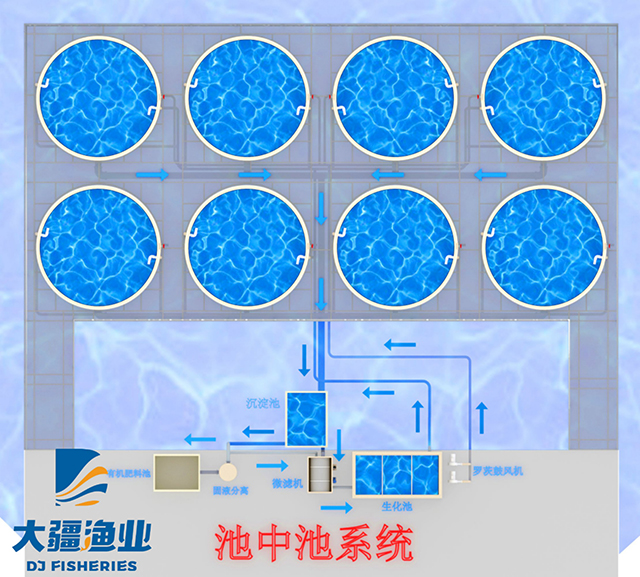 　　水體(tǐ)污染嚴重？循環水養殖水處理(lǐ)技(jì )術的應用(yòng)