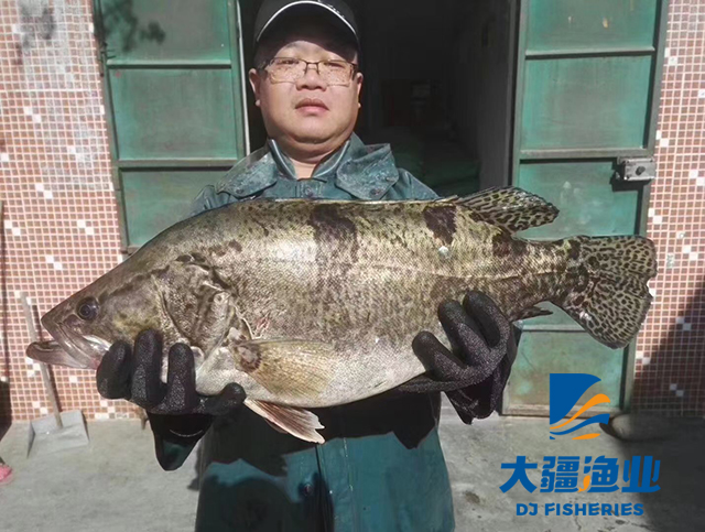 　　循環水養殖怎麽提高水産(chǎn)養殖質(zhì)量，這點很(hěn)重要